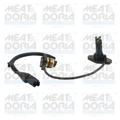 Sensor, coolant level